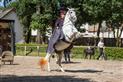 Haras Crédit photo David Fugère (5)