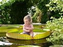 le-potager-extraordinaire-la-mothe-achard-85-pcu-4