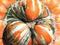 le-potager-extraordinaire-la-mothe-achard-85-pcu-7