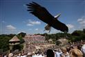 puy-du-fou-les-epesses-85-loi-1