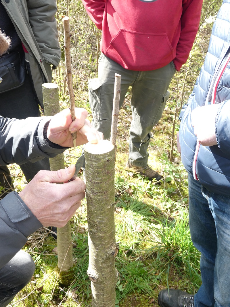 Les Ateliers du Boistissandeau - Les Herbiers