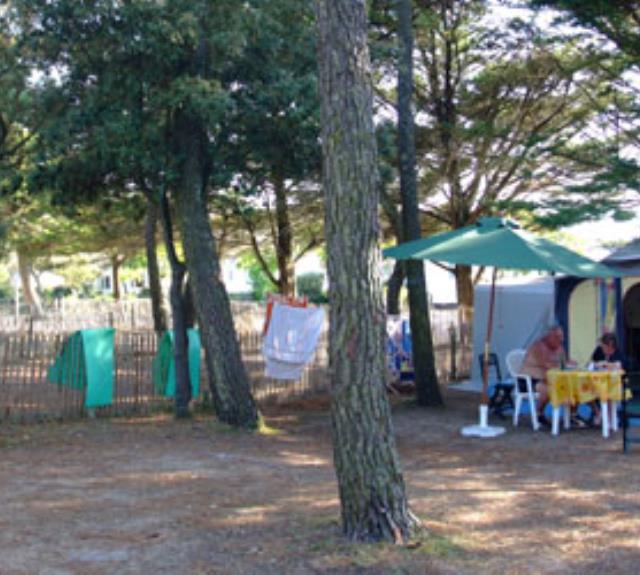 emplacements_campingdesion_sainthilairederiez