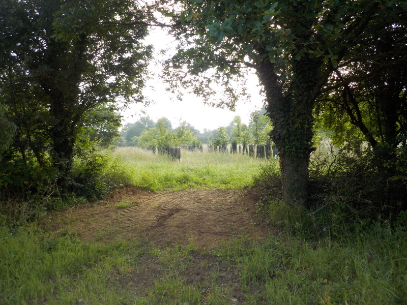 Balade d’Eveil à la Nature