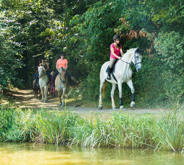 2017_centre-equestre-la-garangeoire-balade-forets