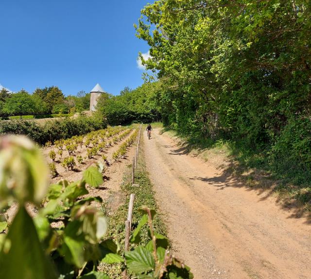 Bocavélo_Moulin