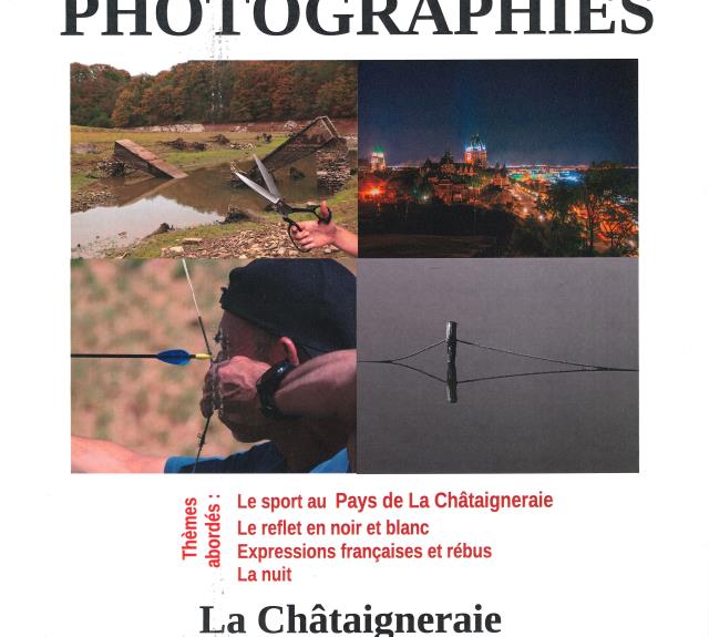 exposition - la Châtaigneraie - 85