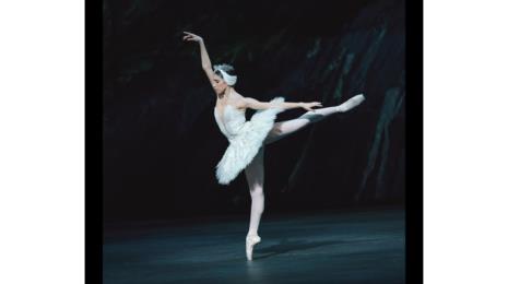 The Royal Ballet - Le Lac des Cygnes