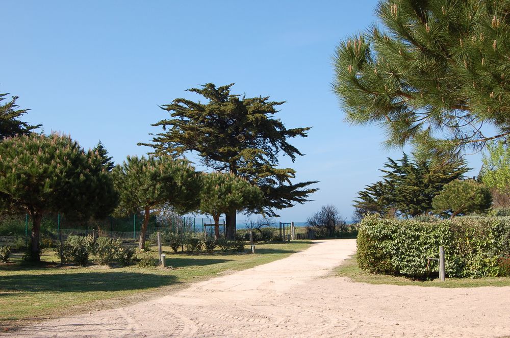 Camping municipal de L'île d'Yeu photo 3