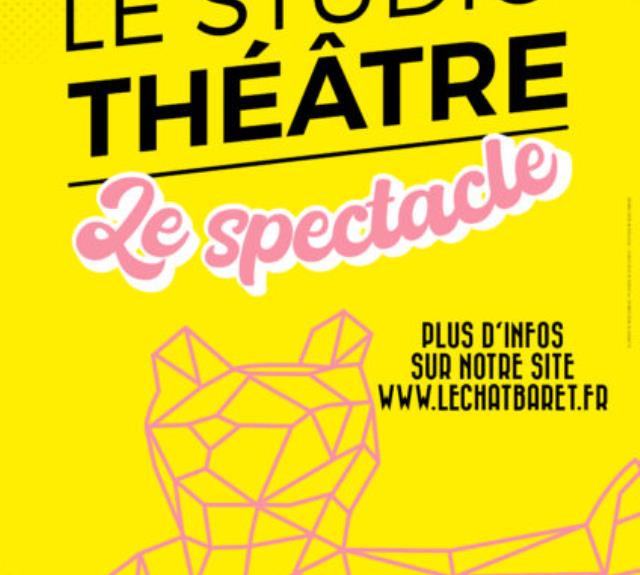 le-studio-theatre-soiree-spectacle-les-achards-85-fma