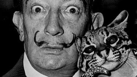 SALVADOR DALI, GRAND MANIERISTE, PEINTRE OU GENIE