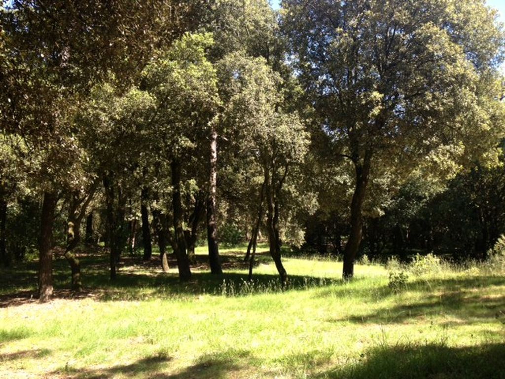 PARC DES FLORALIES | Vendée Tourisme