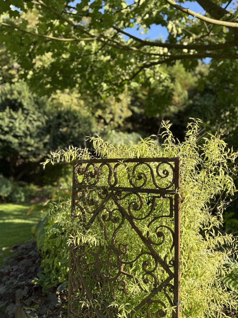 Visite du jardin de L&rsquo;Ecole des Garçons