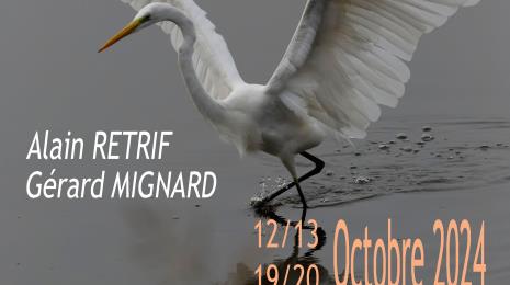 Exposition photos Alain Retrif et Gerard Mignard Du 12 au 20 oct 2024