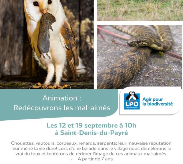 Affiche Mal-Aimés septembre 2023