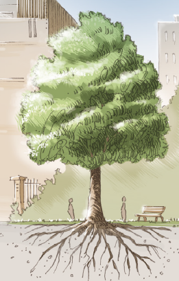 Rencontre « L’arbre de nos centres-bourgs » par Paul Davodeau