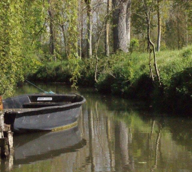BARQUE