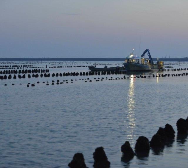 Baie_de_lAiguillon_sur_Mer