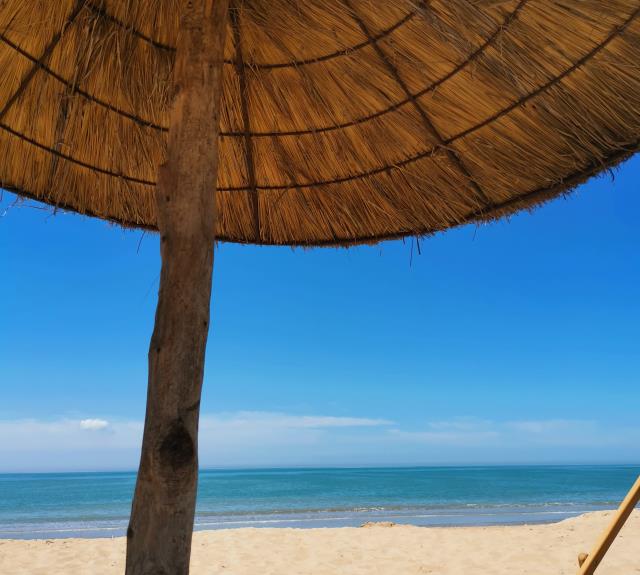 BAR LA CABANE À COCO-L'AIGUILLON-LA-PRESQU'ILE-Vue mer