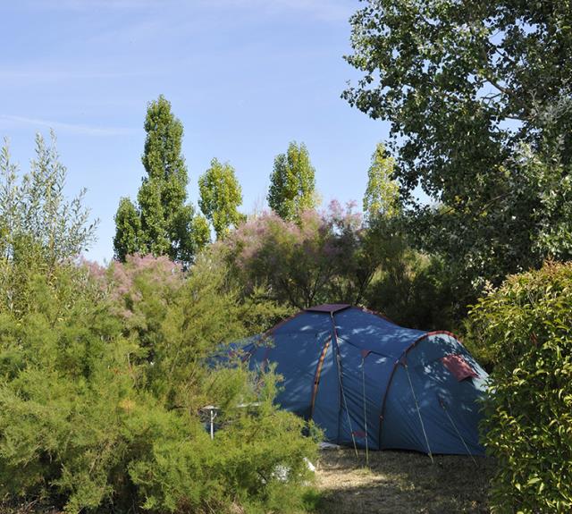 Camping-la-cleroca-Grues-85-HPA (8)