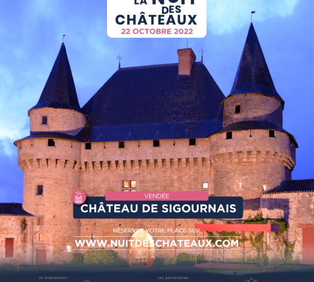 Château-nocturne-Sigournais-85-pcu1