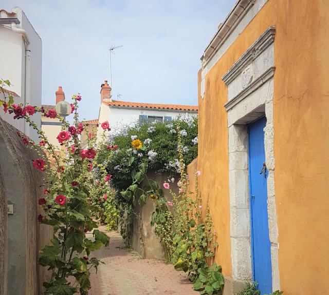 Quartier de la Chaume aux Sables d'Olonne - ChaumeberceauciteP-2-