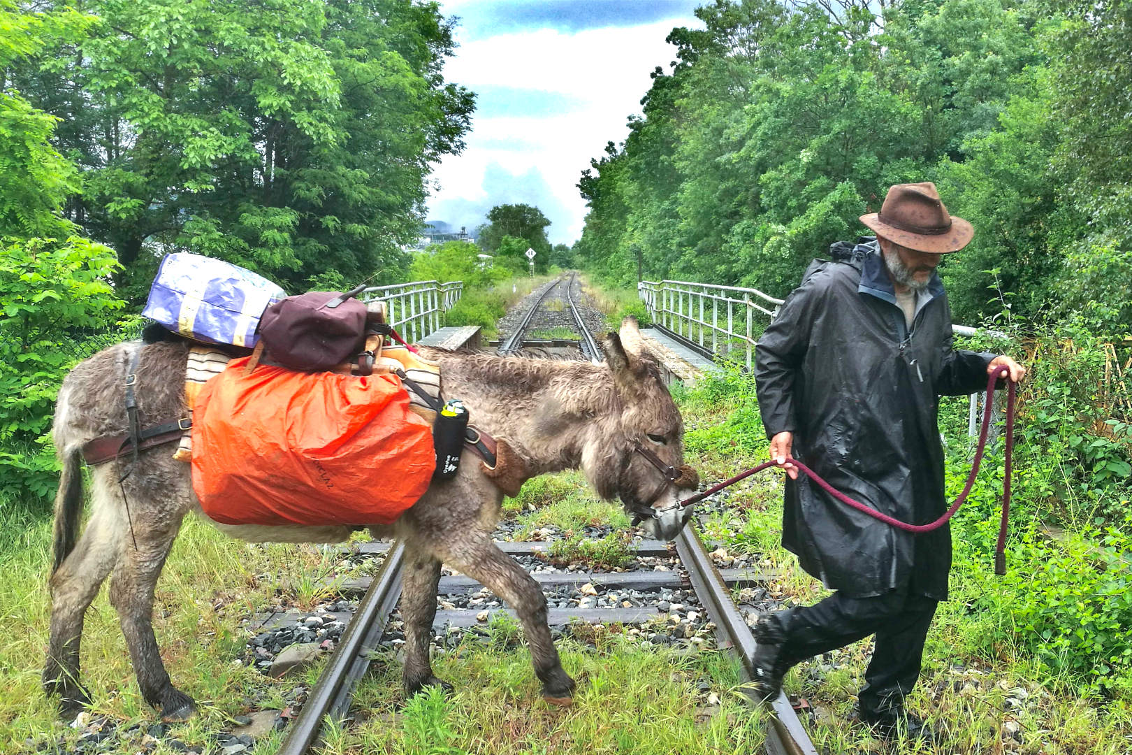 Ciné-rencontre – Chemins de traverse