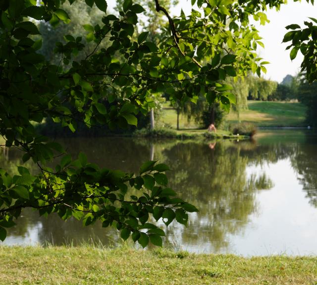 Parc du Martin Pêcheur