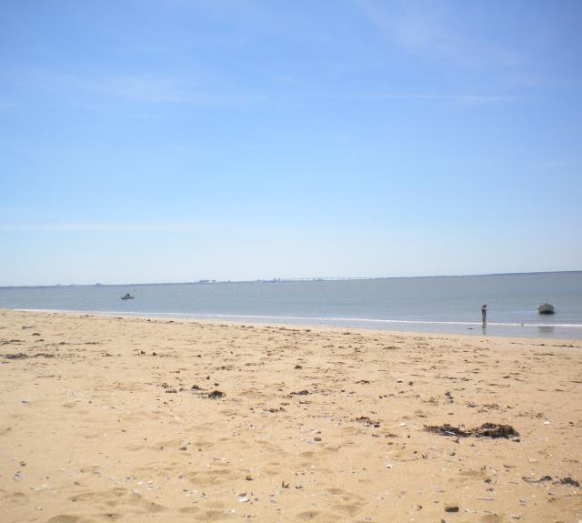 plage-naturiste-la-faute-sur-mer-Vue plage de sable fin