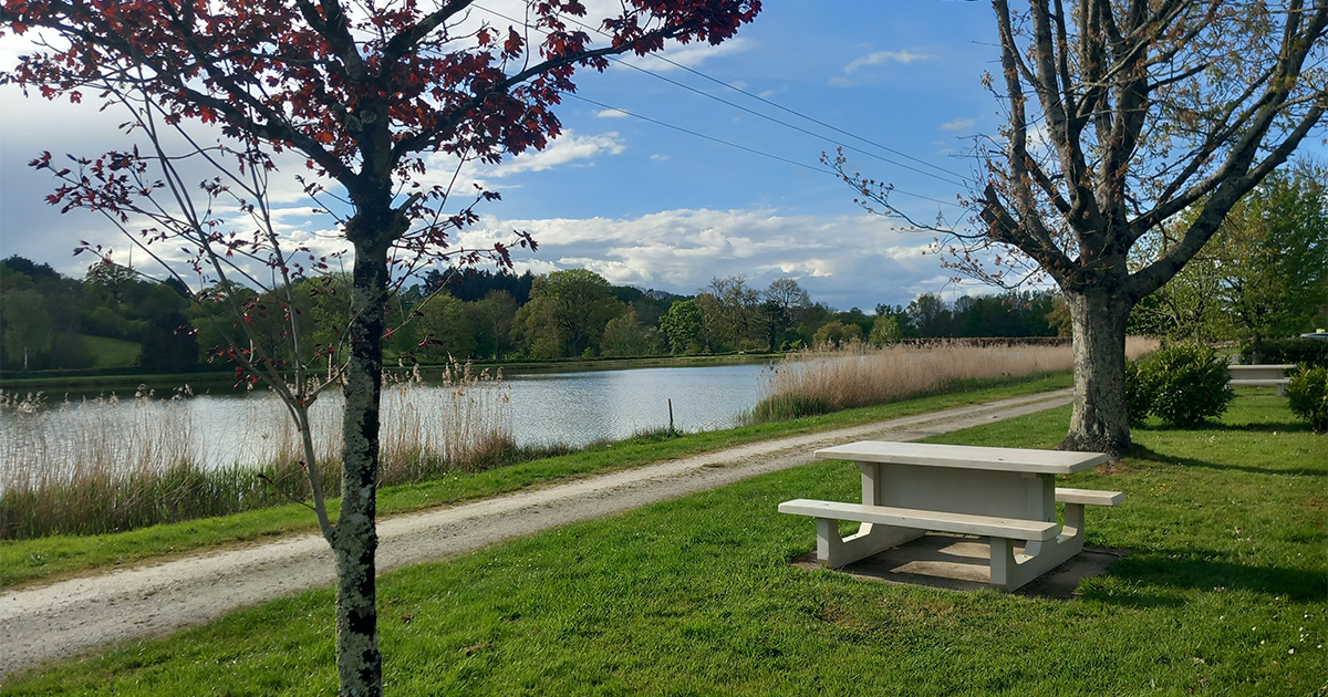 Étang de Bonne Fontaine - Soulvache