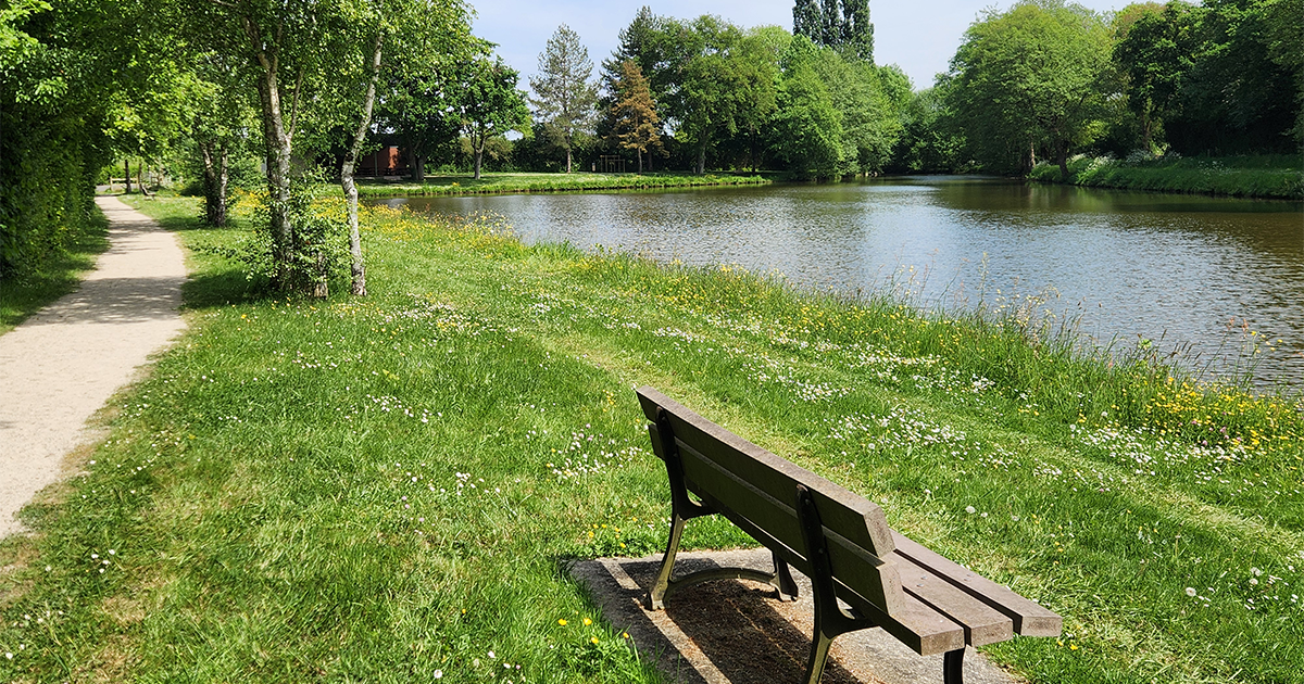 Étang de la Mouette - Erbray