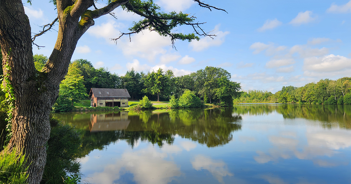 Étang de la Roche - Marsac-sur-Don