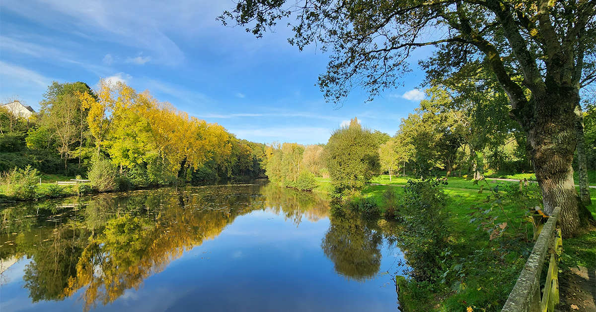 Étang du Bas du Tertre- St Aubin-des-Châteaux