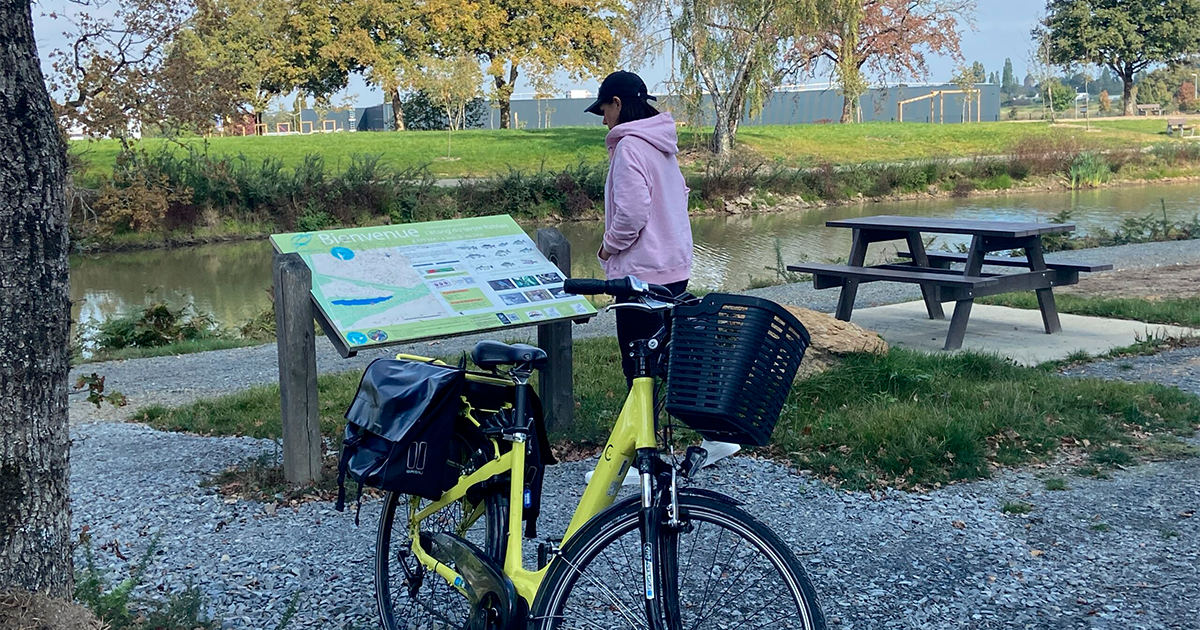 Étang du Tertre Rablais - Louisfert