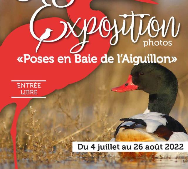Expo-Pose en Baie de l'Aiguillon