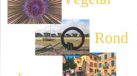 EXPO DE PHOTOS "VEGÉTAL, ROND, LA RUE" Du 12 au 23 nov 2024