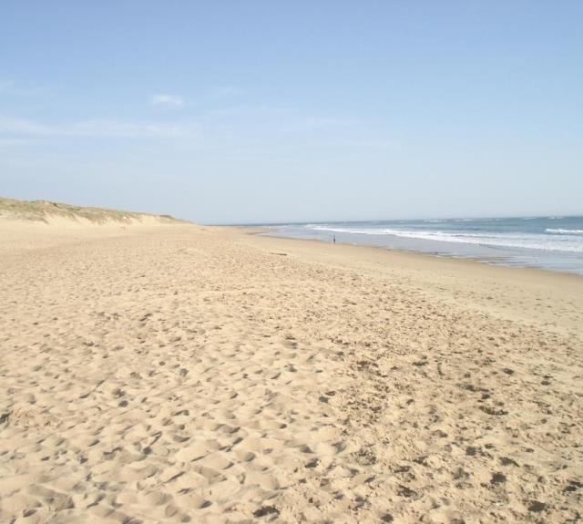 Plage de la Terrière, la plus proche, 1 km de la maison, très grande plage de sable fin_15