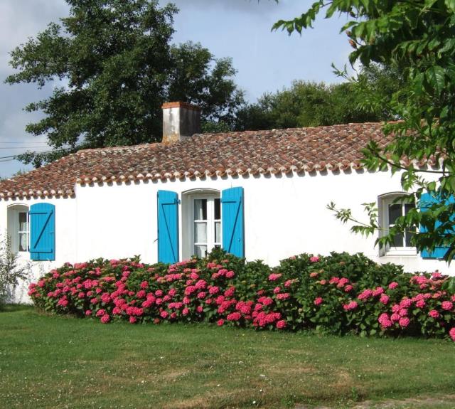 Coté cour_13