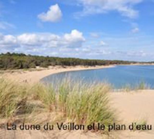 Les Hirondelles_13