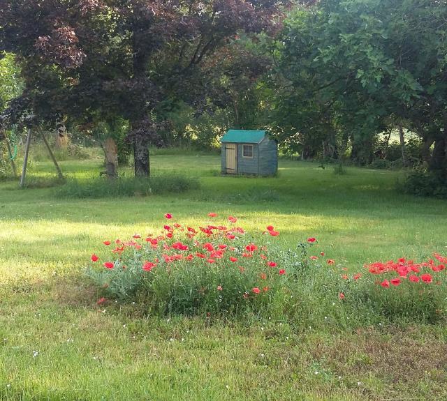 La Fruitière Coquelicots_22