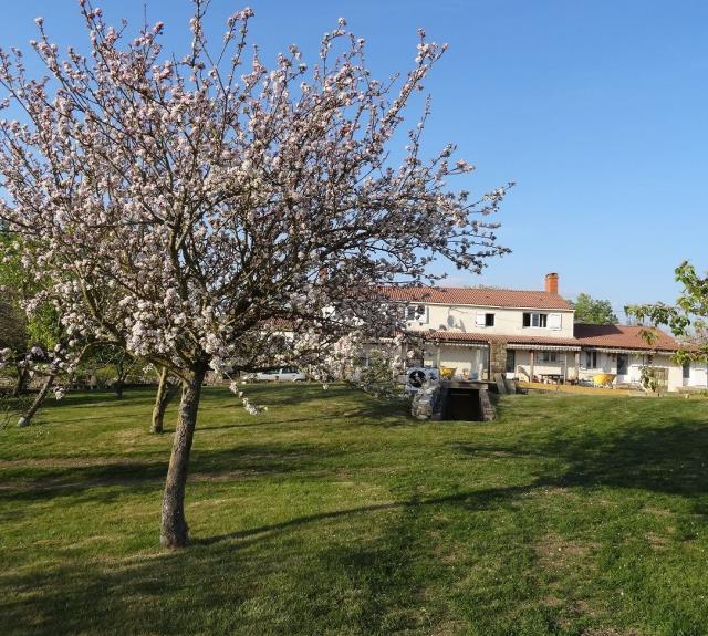 Les Gîtes de la Cossais Le Petit Gîte_16