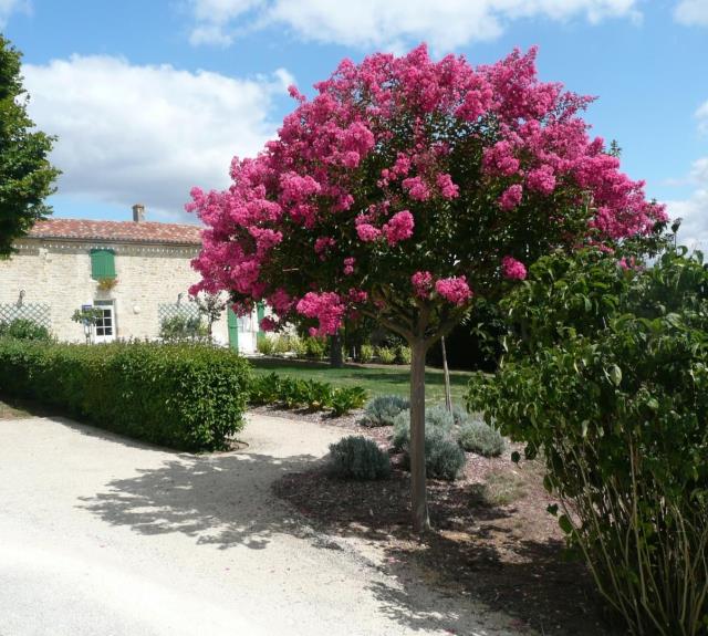 Ferme de la Maison Neuve_38