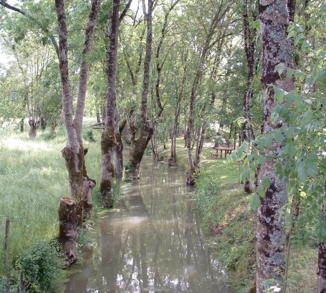 Le marais poitevin_23