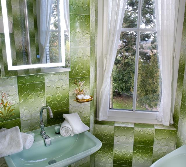 Salle d'eau (baignoire sabot)_26