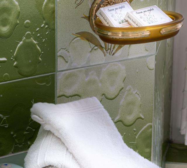 Salle d'eau (baignoire sabot)_27