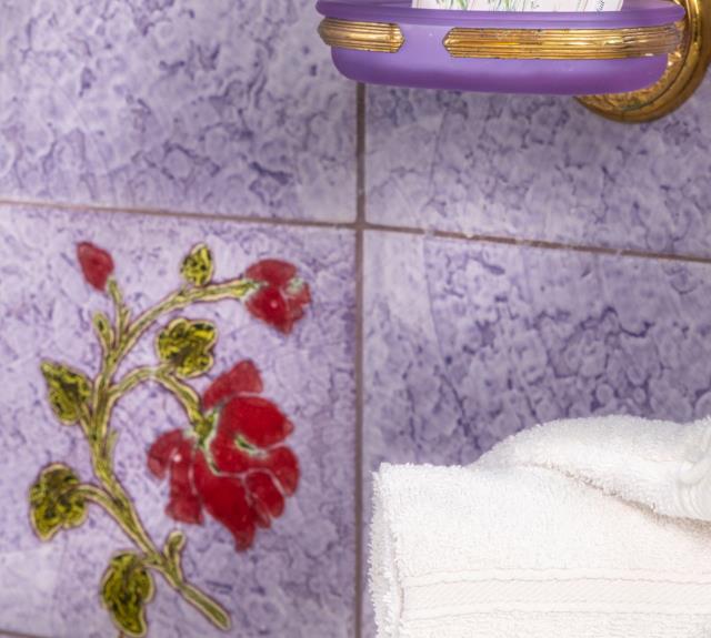 Salle d'eau/WC (baignoire sabot)_35