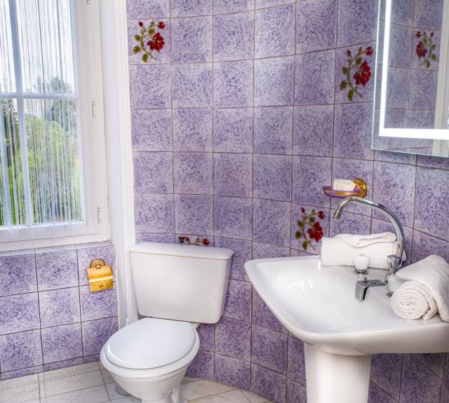 Salle d'eau/WC (baignoire sabot)_34