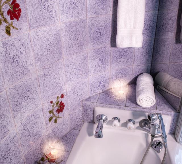 Salle d'eau/WC (baignoire sabot)_30
