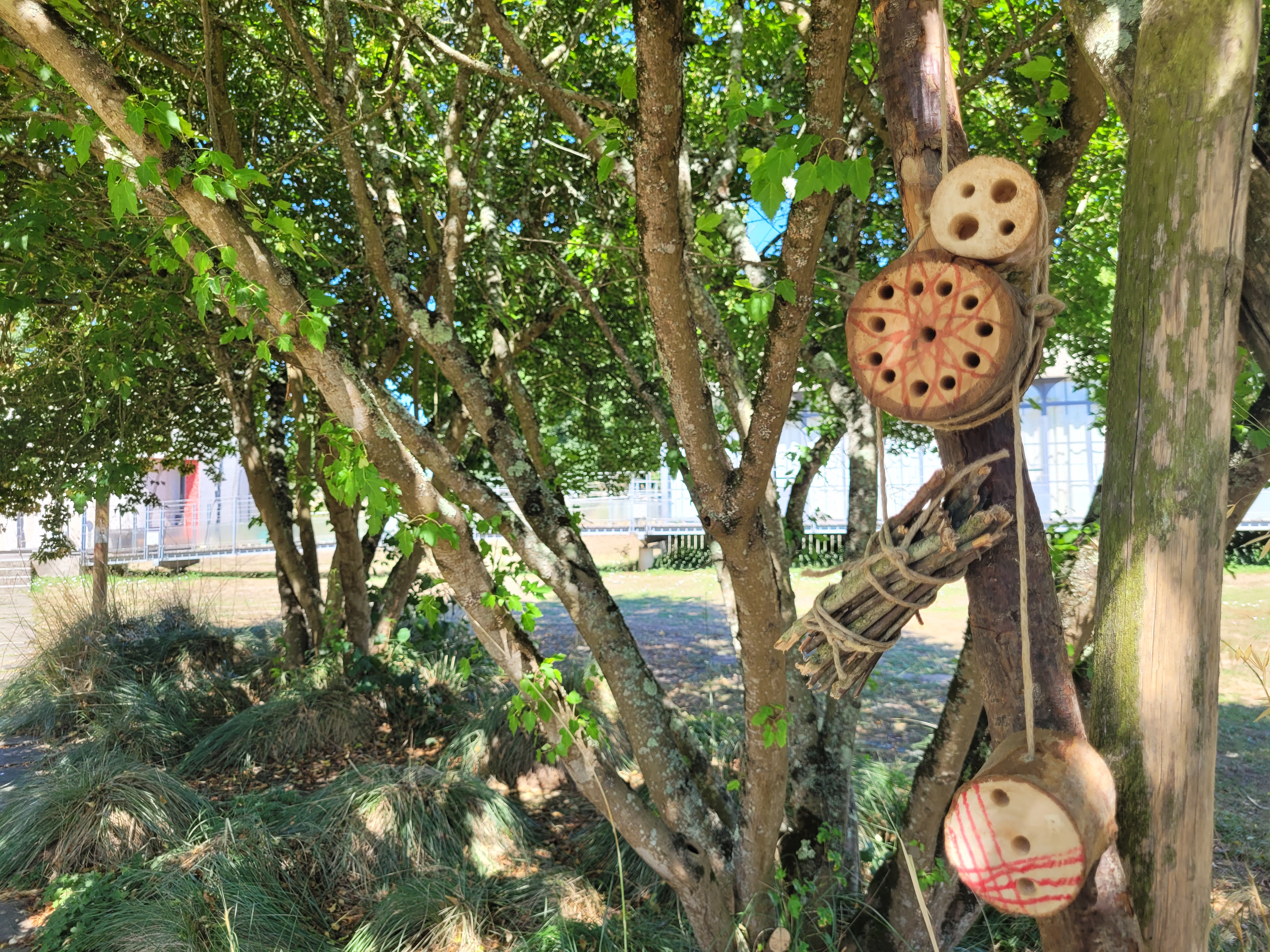 Atelier « Un hôtel pour les insectes «