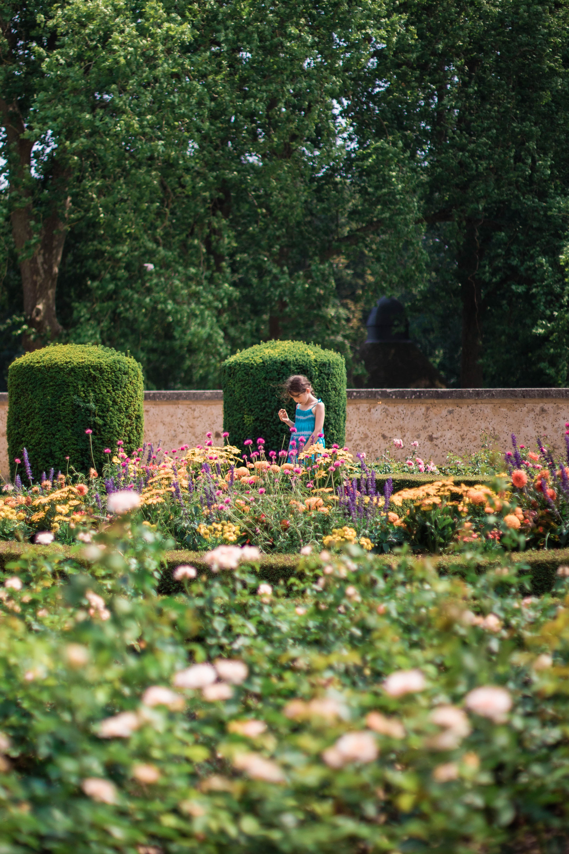 Rendez-vous aux jardins : « L’histoire du Parc et des Jardins de Courtanvaux »