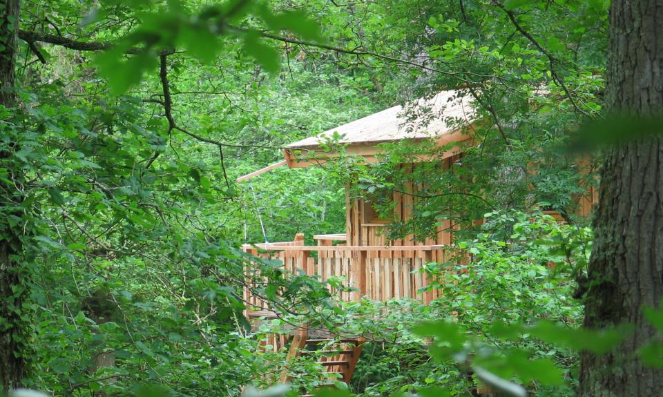 Cabane-dans-les-arbres